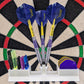 Showpiece Darts Holder with Flights & Stems Storage
